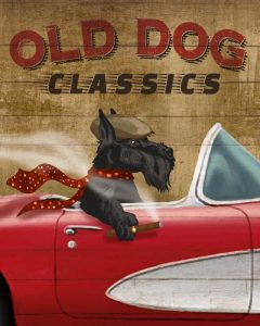 Old Dog Classics
