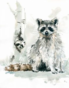 Raccoon and Baby