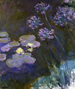 Water Lilies and Agapanthus