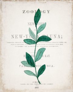Botanical Pages 2