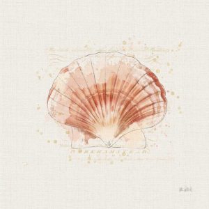 Shell Collector IV