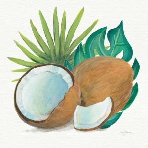 Coconut Palm V