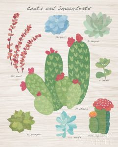 Succulent and Cacti Chart IV on Wood