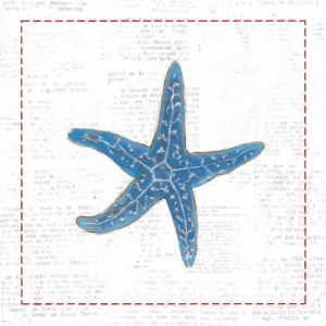 Navy Starfish on Newsprint with Red