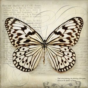 Butterflies Script III