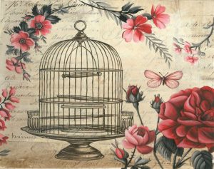 Birdcage and Blossoms