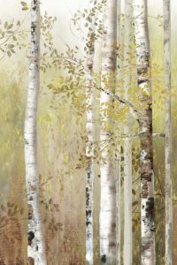 Serenity Birch