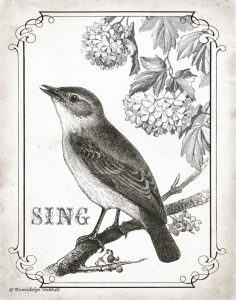 Bird Sing