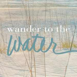 Wander To The Water