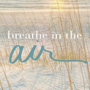 Breathe In The Air
