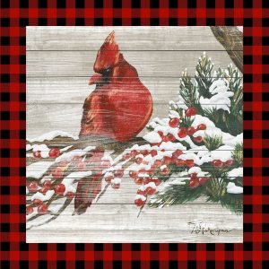 Winter Red Bird III