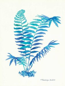 Ombre Fern I