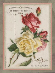 French Rose II