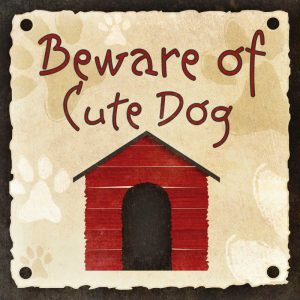 Beware of Cute Dog