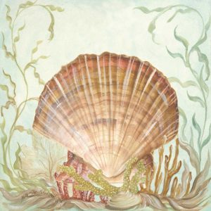 Seashells and Coral III