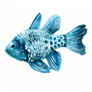 Fish II