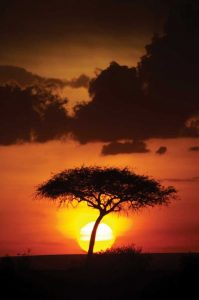 Kenya Sunrise