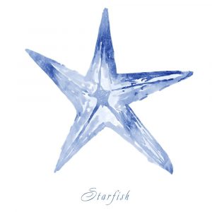 Misty Starfish