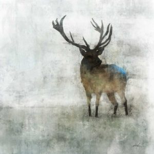 Silent Stag