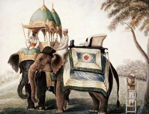 Elephants With Their Mahout