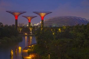 Singapore Garden by the Sea towers at night