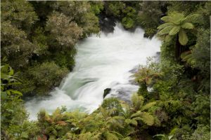 New Zealand, Okere Falls on the Kaituna River