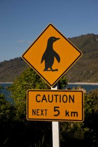 New Zealand, South Island Traffic warning sign