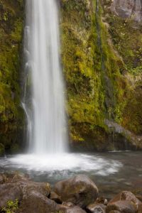 New Zealand, Taranaki Dawson Falls in Egmont NP
