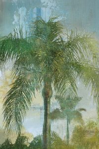 Contemporary Palm