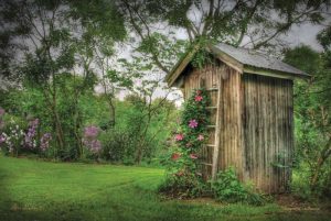Fragrant Outhouse