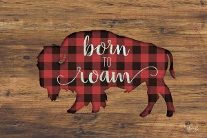 Born to Roam Bison