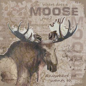 Where Does a Moose Run