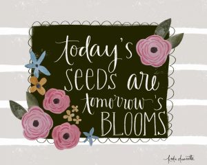 Todays Seeds