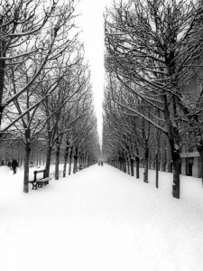 The Tuileries Garden under the snow, Paris