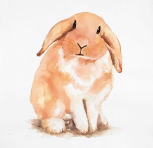 Fuzzy Lop Rabbit