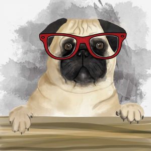 Pug with Glasses