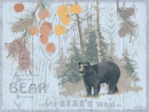 Bears World Gray