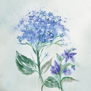 Blue Flower Wash