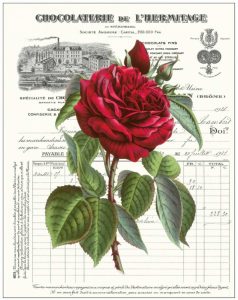 Heirloom Roses A