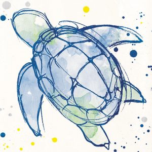 Minimal Sketch Turtle