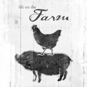Farm to Chicken and Pig