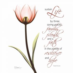 Swaying Tulip Pink – Life