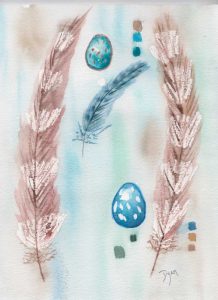 Feather and Egg Study