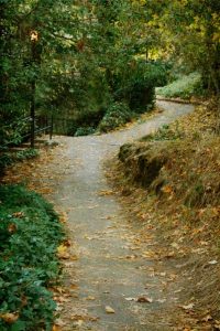 Autumn Path II