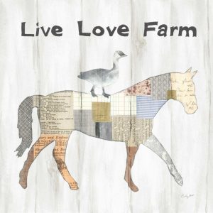 Farm Family V