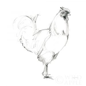 Rooster II Dark Square