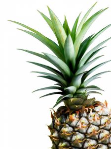 Pineapple – color
