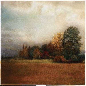 Autumn Horizon II