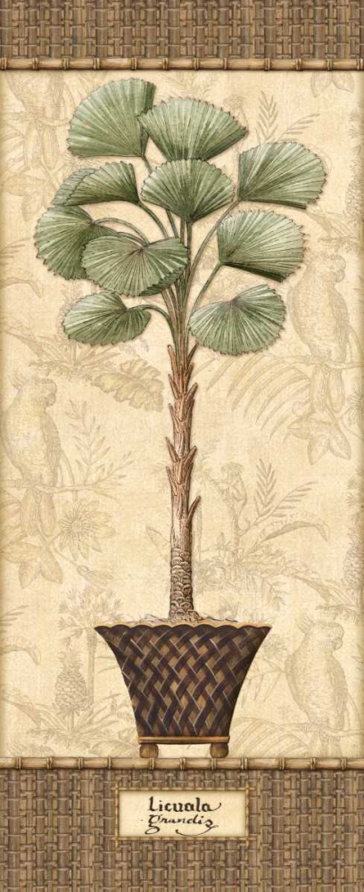 Botanical Palm I