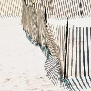 Beach Fence I
